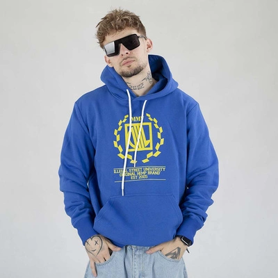 Bluza Diil Hoodie Laur chabrowa