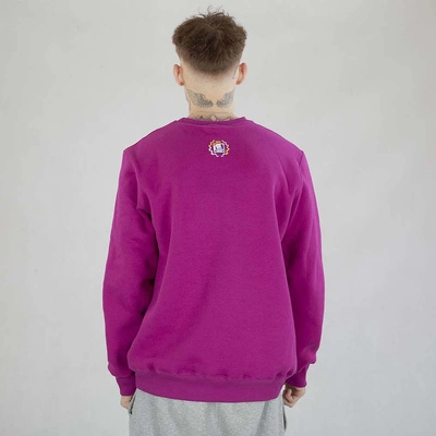 Bluza Diil Crewneck Small Color fiolefowa