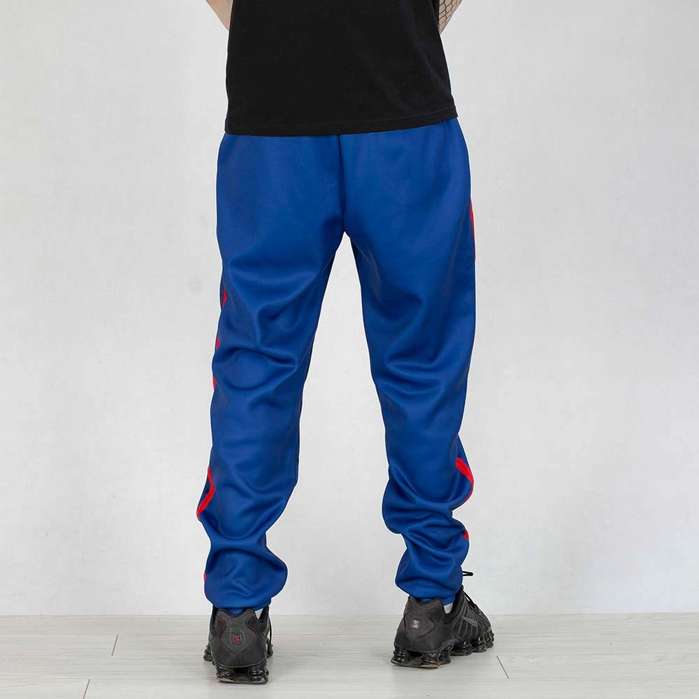 Spodnie dresowe Dudek P56 Palę Sobie Grass Lion Football granatowe