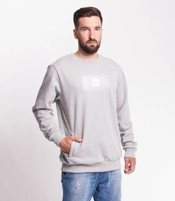 Smoke Story FOIL CLEAR Bluza bez kaptura jasny Szary