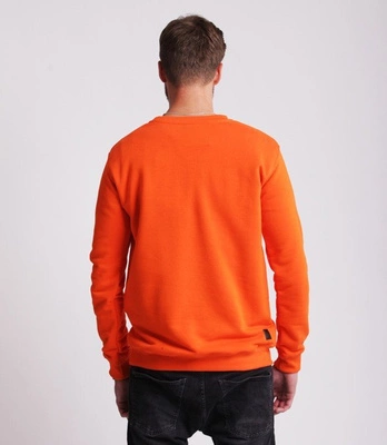 Biuro Ochrony Rapu CLASSIC Bluza Pomarańczowy