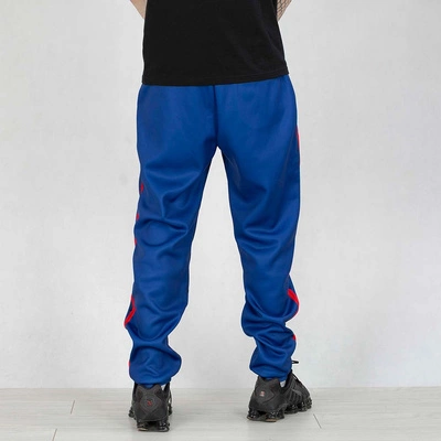 Spodnie dresowe Dudek P56 Palę Sobie Grass Lion Football granatowe