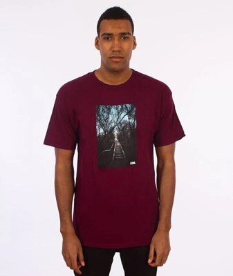 Visual-Entryway T-Shirt Maroon