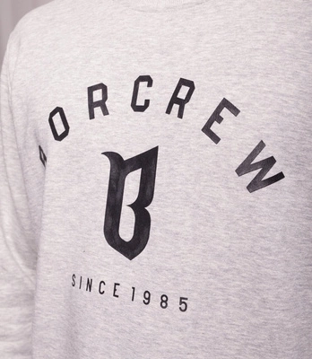 Biuro Ochrony Rapu CLASSIC B Bluza jasny Szary