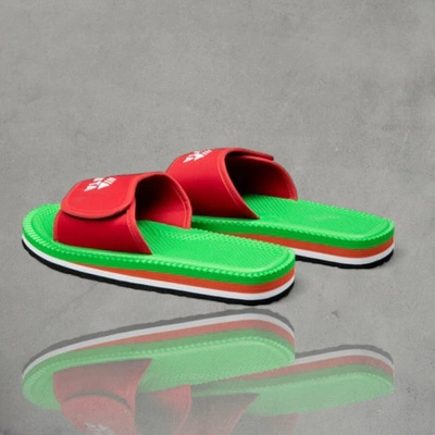 Kubota Klapki Rzep turtles