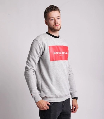 Biuro Ochrony Rapu BOX Bluza Jasny Szary