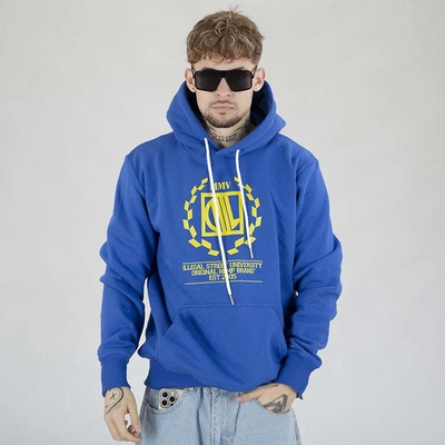 Bluza Diil Hoodie Laur chabrowa