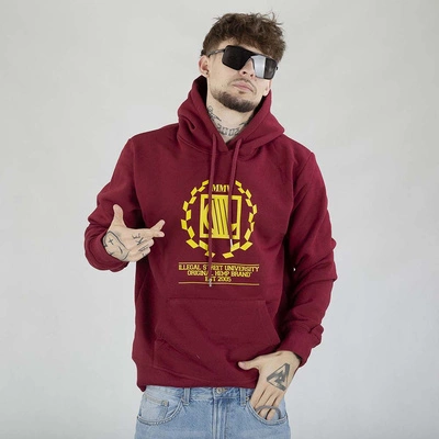 Bluza Diil Hoodie Laur bordowa