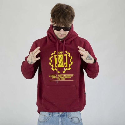 Bluza Diil Hoodie Laur bordowa