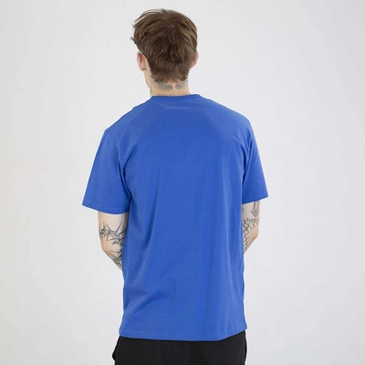 Koszulka Diil Kastet Frame chabrowa