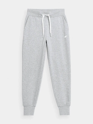 Spodnie dresowe 4F Regular F474 jasne szare