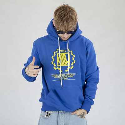 Bluza Diil Hoodie Laur chabrowa