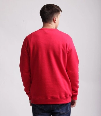 Biuro Ochrony Rapu-New Herb Bluza Czerwony