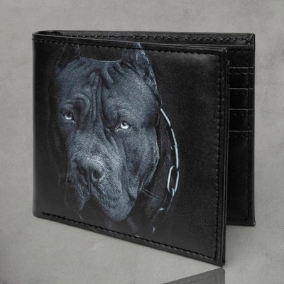 Pit Bull Portfel Born In 1989 czarny