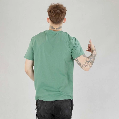 Koszulka Pit Bull Small Logo miętowa