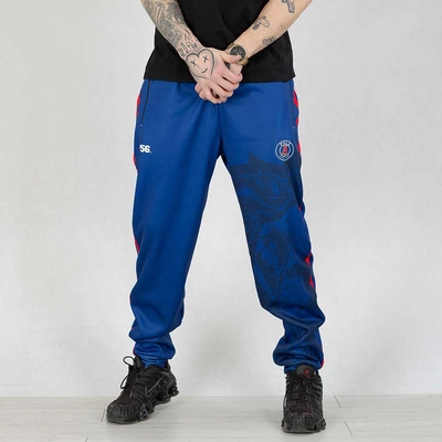 Spodnie dresowe Dudek P56 Palę Sobie Grass Lion Football granatowe