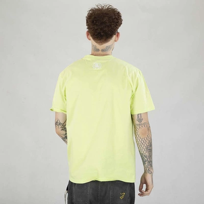 Koszulka Diil Laur Pixel Front seledynowa