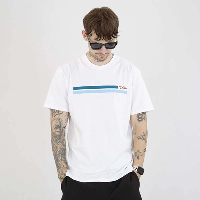 Koszulka Diil Laur szara niebieska