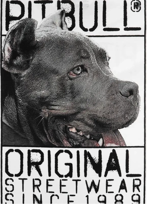 Koszulka Pit Bull Origin biała