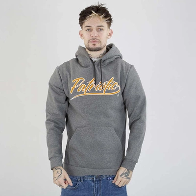 Bluza Patriotic Hoodie Retro Script szara