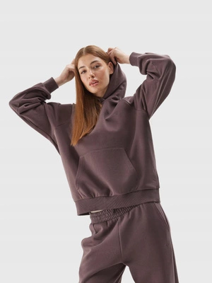 Bluza 4F Hoodie unisex U704 brązowa