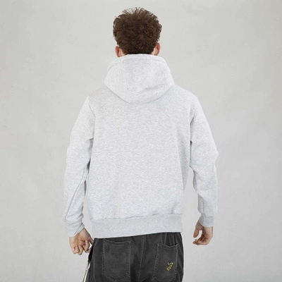Bluza Hoodie Street Autonomy Harwart szara
