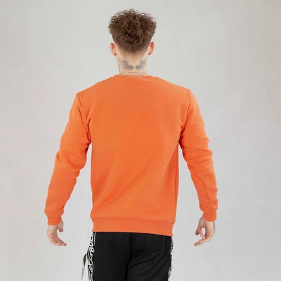 Bluza Patriotic Crewneck Apparel 09 pomarańczowa