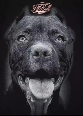 Koszulka Pit Bull IR czarna