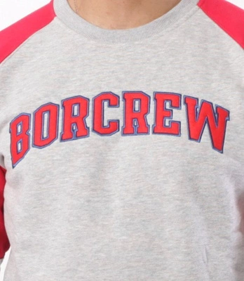 Biuro Ochrony Rapu-College Reglan Bluza Szary