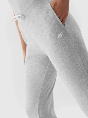 Spodnie dresowe 4F Regular F474 jasne szare