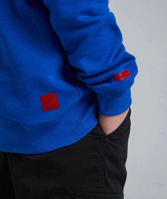 Biuro Ochrony Rapu COLOR BOX Bluza z kapturem Niebieski