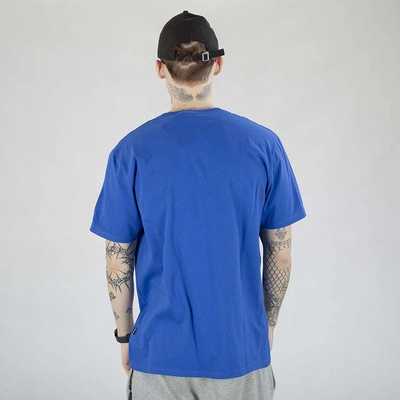 Koszulka Diil Small Color chabrowa