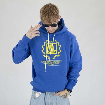 Bluza Diil Hoodie Laur chabrowa