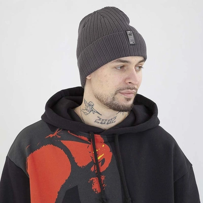 Czapka Pit bull Silvas Pitbull TM grafitowa