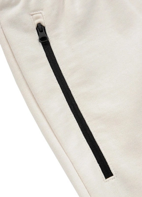 Bluza Pit Bull Hoodie Terry Group Small Logo beżowa