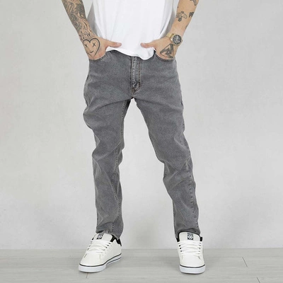 Spodnie Regular Prosto Pocklog gray jeans