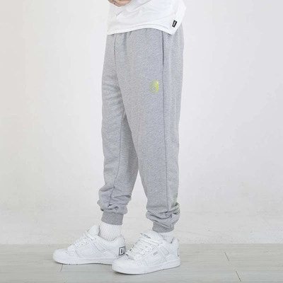 Spodnie Dresowe Street Autonomy Backteam szare